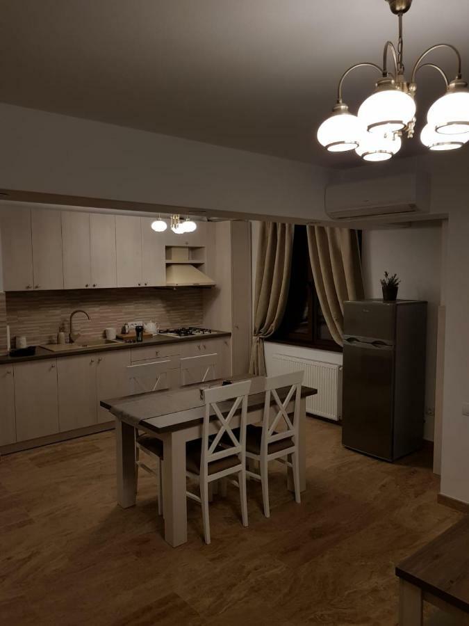 Apartament 2 Camere Ultracentral Râmnicu Vâlcea Zewnętrze zdjęcie