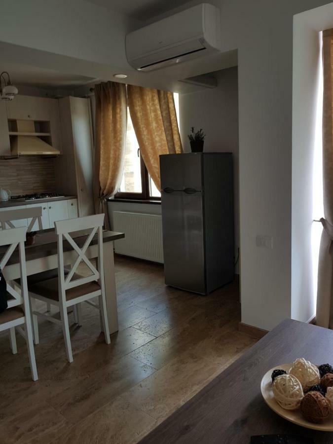 Apartament 2 Camere Ultracentral Râmnicu Vâlcea Zewnętrze zdjęcie