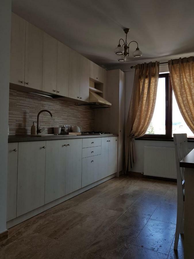 Apartament 2 Camere Ultracentral Râmnicu Vâlcea Zewnętrze zdjęcie